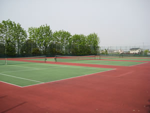 桜田運動公園テニスコート写真