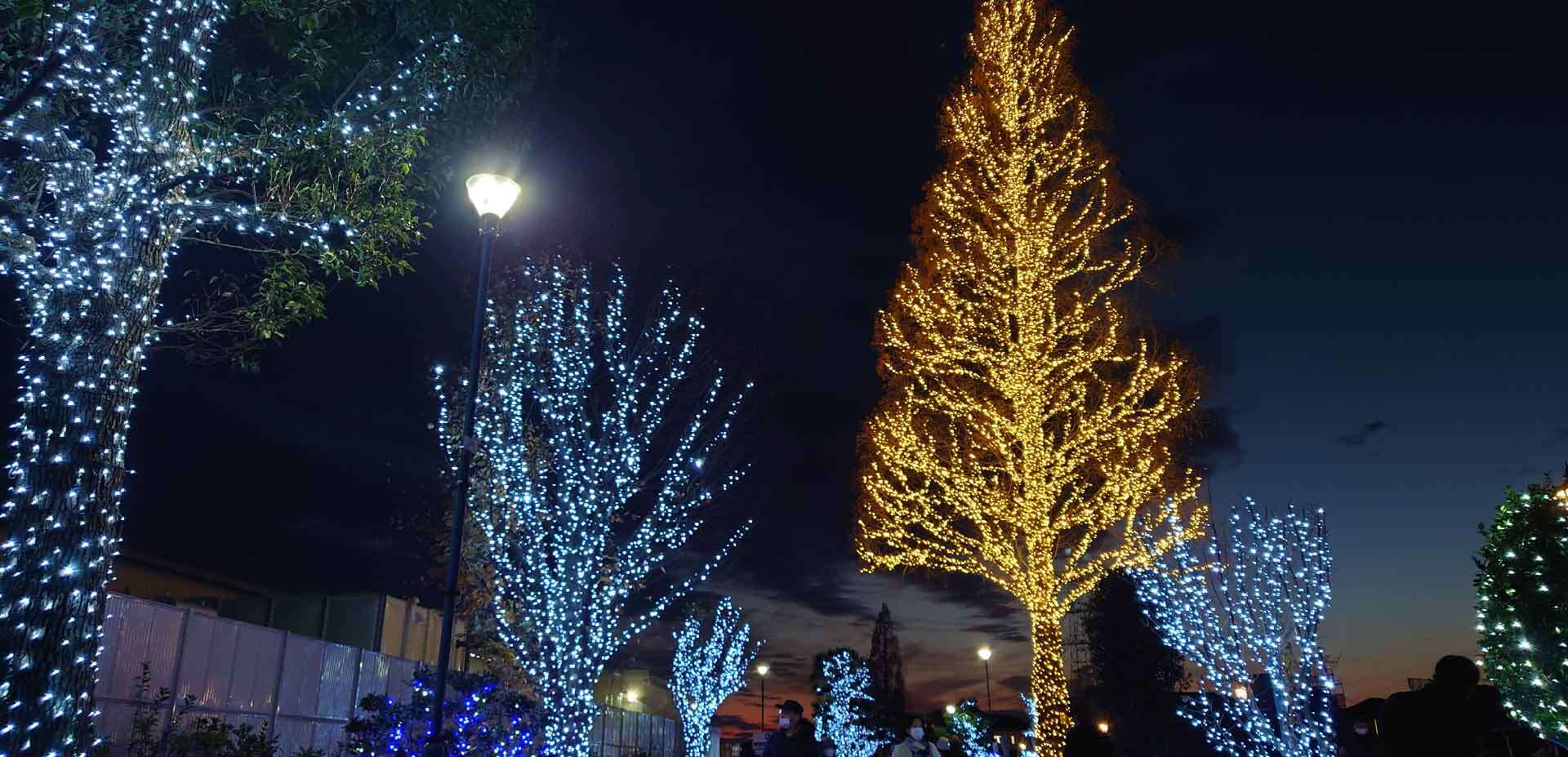写真：BLPイルミネーション