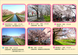 地図：久喜桜マップ2