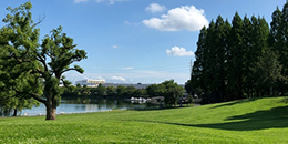 写真：公園