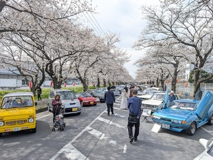 OLD CAR meetingの写真