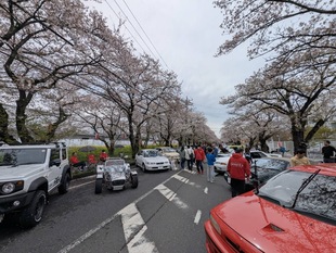 OLD CAR meetingの写真