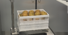 農産物納品の写真：農産物納品の様子2