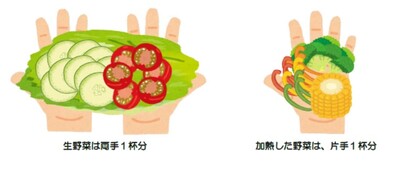 イラスト：目安の量