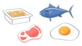 イラスト：タンパク質の含まれる食品