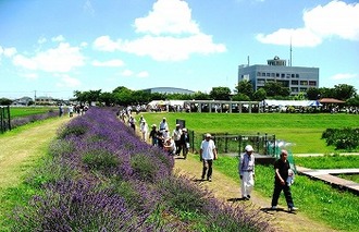 写真:ウォーキングの様子