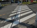 写真:江一小通り・県道87号上尾久喜線 交差点