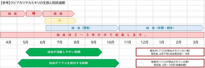図：クビアカツヤカミキリの生態と防除適期