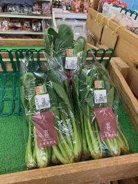 写真：野菜1