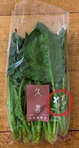 写真：野菜3
