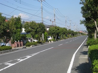 写真：やまもも