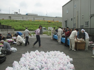 写真：「旧日光街道」花いっぱい作戦（春）1