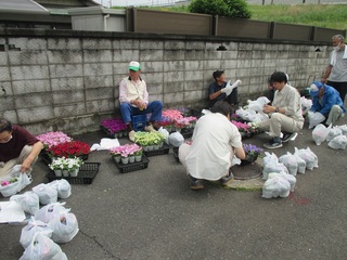 写真：「旧日光街道」花いっぱい作戦（春）2