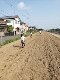 写真:コスモス種まき
