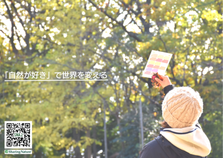 写真：自然