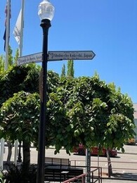 写真:方位板