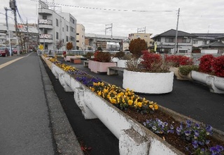 写真：久喜駅東口三角パークの花壇