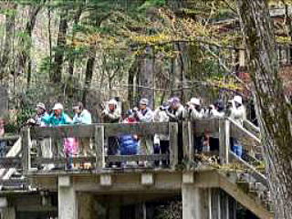 写真：日光野鳥観察会