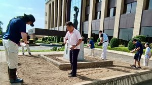 写真：コスモス種まき1