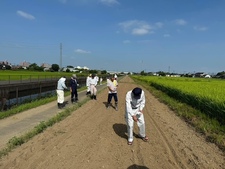 写真：コスモス種まき2