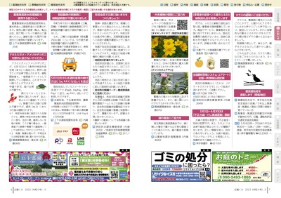 チラシの写真：お知らせ