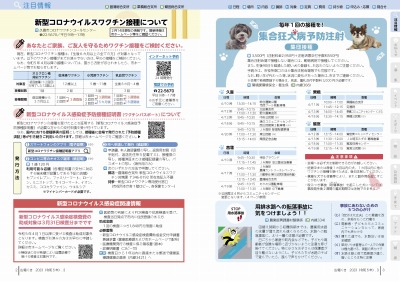 注目情報：注目情報