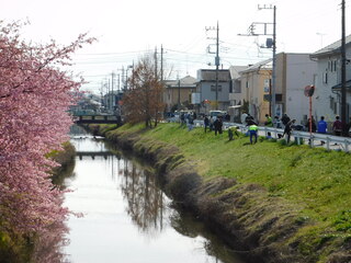 写真：植栽の様子1