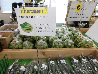 写真：野菜