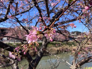写真：24