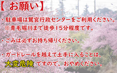 写真：お願い　駐車場は鷲宮総合支所をご利用ください。※青毛堀川まで徒歩15分程度です。　ごみは必ずお持ち帰りください。　ガードレールを越えて土手に入ることは大変危険ですのでおやめください。