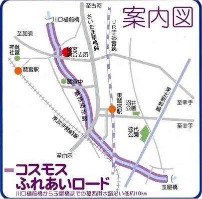 地図：コスモスふれあいロード案内図