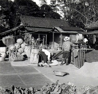 写真：農作業風景
