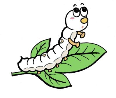イラスト：カイコ