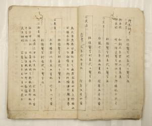 写真:針谷家文書 ハリ萱氏系図