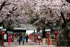 写真:鷲宮神社