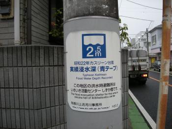 写真：水位を示す電柱