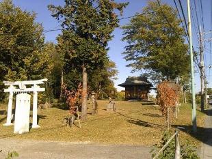 写真:中川低地の河畔砂丘群 西大輪砂丘(西大輪神社・雷電社境内)