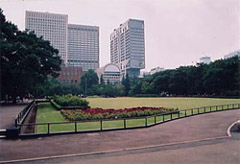 写真:公園