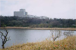 写真：春採公園