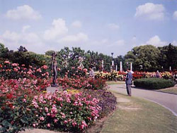 写真：鶴舞公園