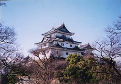 写真：和歌山公園