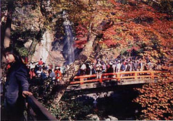 写真： 箕面公園