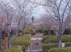 写真：日和山公園