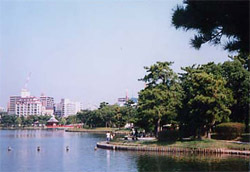 写真：大濠公園