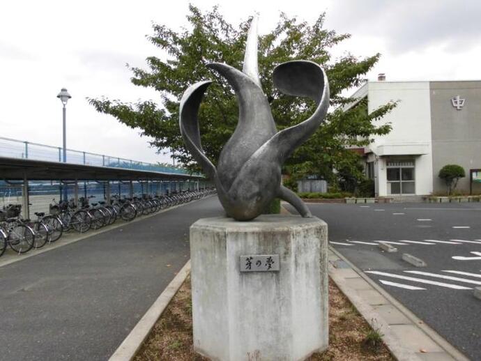 写真：芽の夢