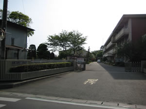 写真：