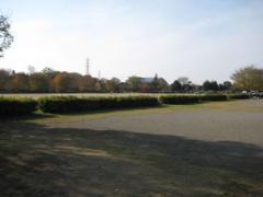 写真：総合運動公園