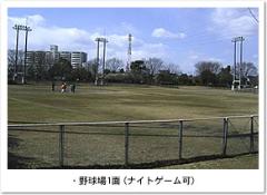写真：青葉公園野球場