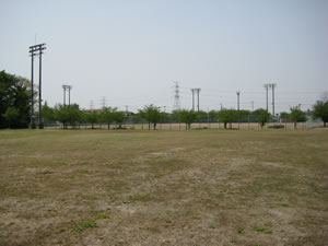 写真：鷲宮運動広場