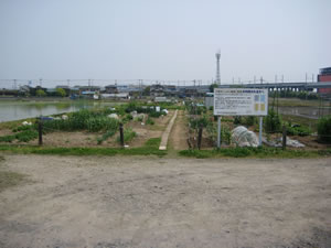 写真：しみん農園栗橋